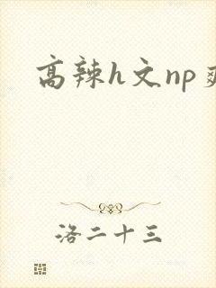 高辣h文np爽