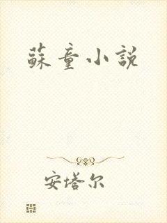 苏童小说