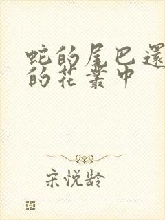 蛇的尾巴还在我的花丛中