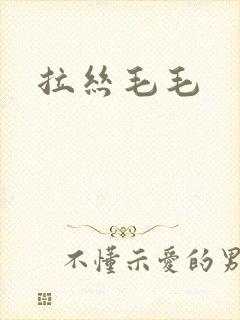 拉丝毛毛