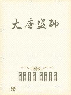 大唐盗帅