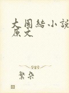 大团结小说阅读原文封面