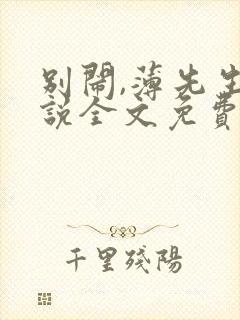 别闹,薄先生小说全文免费阅读封面