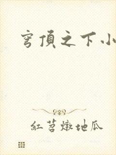 穹顶之下小说