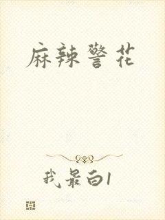 麻辣警花