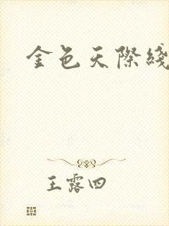 金色天际线封面