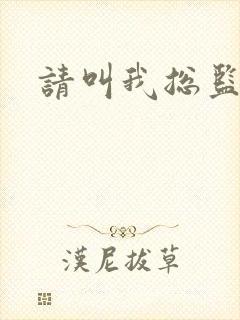 请叫我总监小说