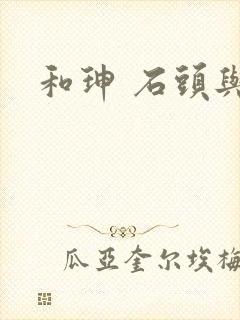 和珅 石头与水封面