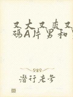 又大又爽又黄无码A片男和男