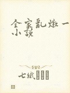 全家乱炖一锅烩小说封面