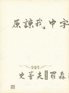 原谅我中字封面