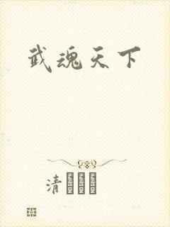 武魂天下