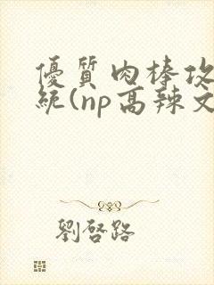 优质肉棒攻略系统(np高辣文)