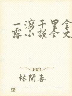一泻千里金银花露小说全文免费阅读