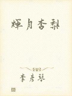 辉月杏梨封面