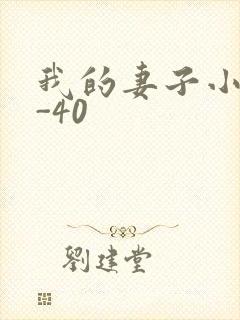 我的妻子小谨1-40封面