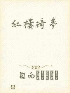 红楼琦梦
