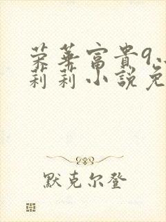 荣华富贵9小王莉莉小说免费阅读