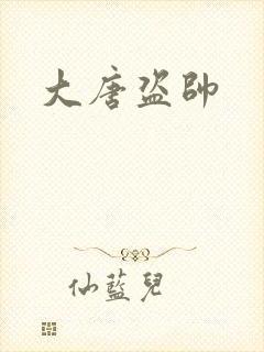 大唐盗帅