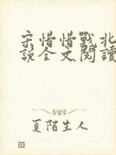 宋惜惜战北望小说全文阅读