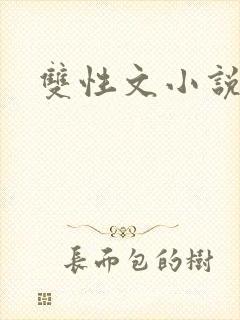 双性文小说封面