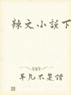 辣文小说下载