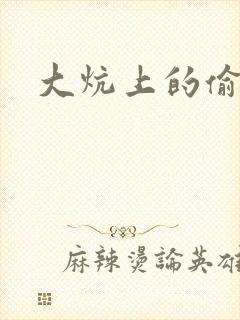 大炕上的偷乱2封面