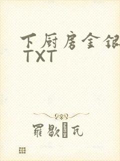下厨房金银花露 TXT封面