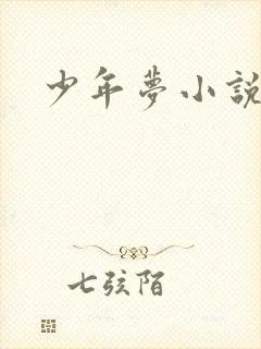 少年梦小说