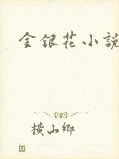 金银花小说乐可封面