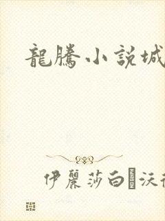 龙腾小说城封面