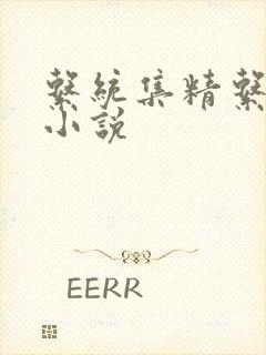 系统集精系统 小说