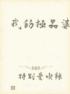 我的极品婆婆
