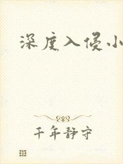 深度入侵小说