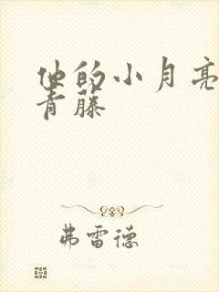 他的小月亮by青藤