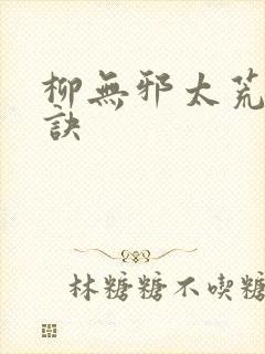 柳无邪太荒吞天诀封面