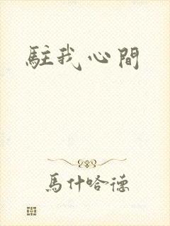 驻我心间