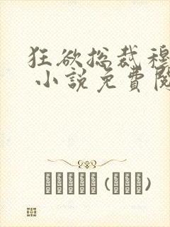 狂欲总裁穆非雪 小说免费阅读封面