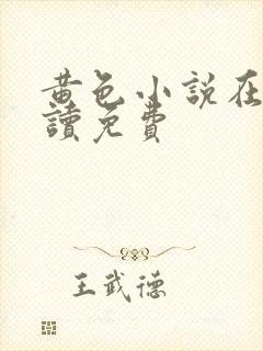 黄色小说在线阅读免费