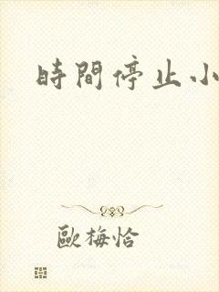 时间停止小说