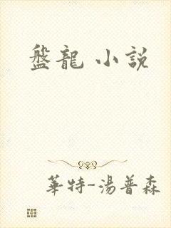 盘龙 小说封面