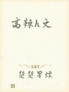 高辣h文