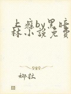 上瘾by黑暗森林小说免费