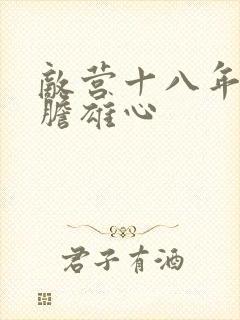 敌营十八年2虎胆雄心封面