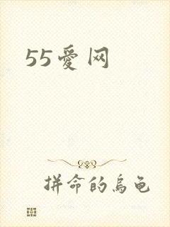 55爱网封面