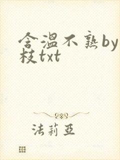含温不熟by词枝txt