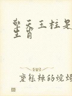 擎天玉柱是什么生肖