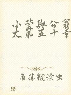 小莹与公翁熄粗大第五十章封面