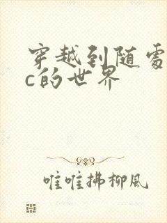 穿越到随处可以c的世界