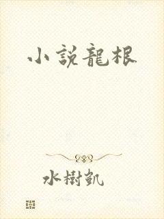 小说龙根封面